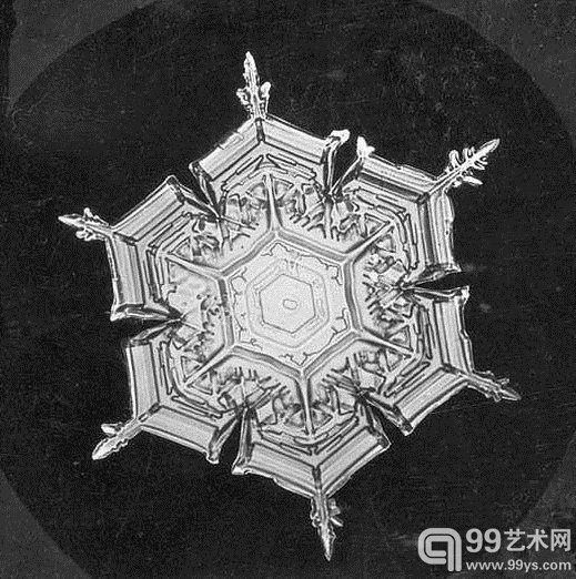 Wilson Bentley,一名1865年出生在美国佛蒙特州农场的普通人,因为他自孩提时代便已经对观察自然界充满兴趣,所以在他15岁时,从家人那里得到了人生的第一台显微镜,开始记录深爱的雪花,并成为历史上第一名给雪花照相的人。