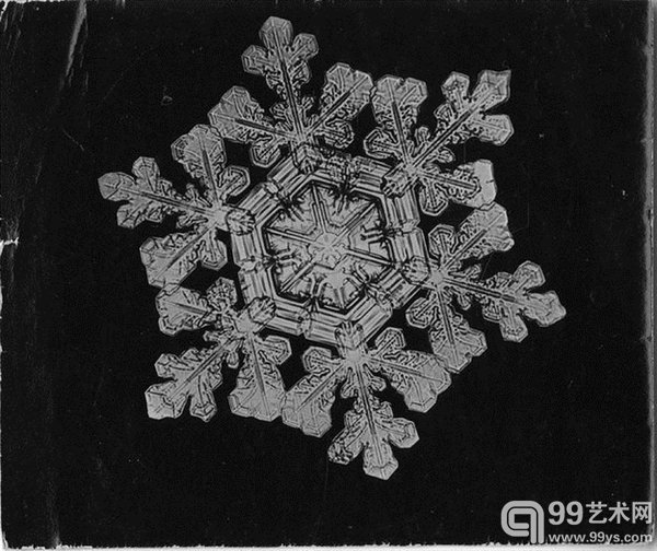 Wilson Bentley,一名1865年出生在美国佛蒙特州农场的普通人,因为他自孩提时代便已经对观察自然界充满兴趣,所以在他15岁时,从家人那里得到了人生的第一台显微镜,开始记录深爱的雪花,并成为历史上第一名给雪花照相的人。