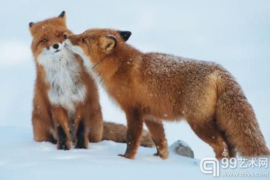 来！亲一个