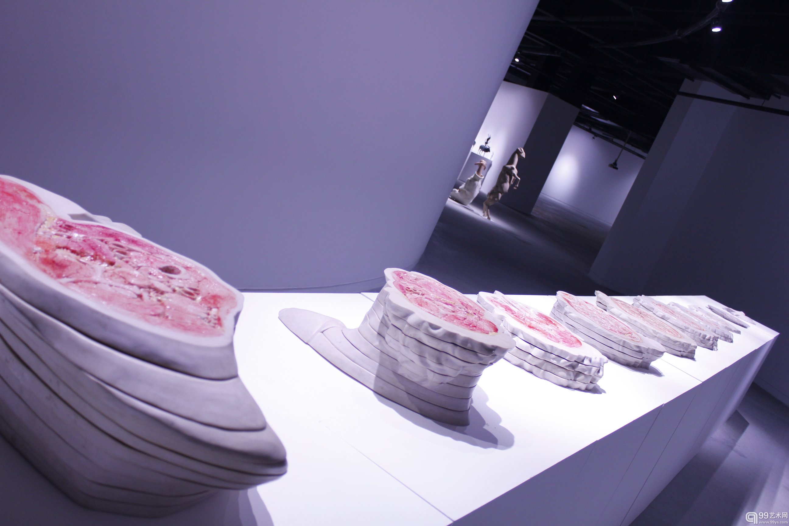 曹晖作品《如果我是》，2011