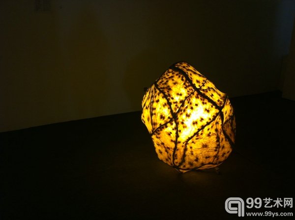 展览现场
