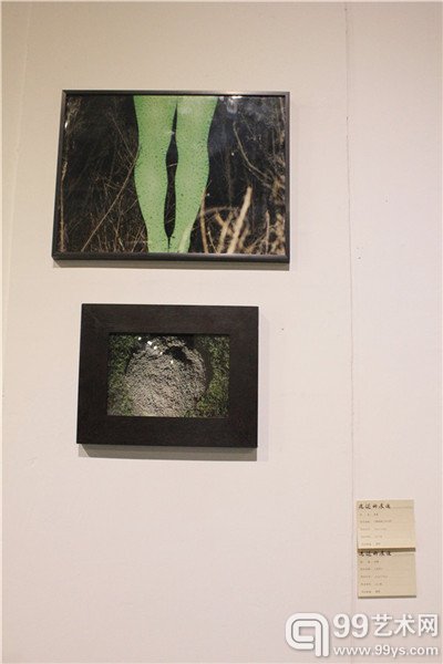 展出作品