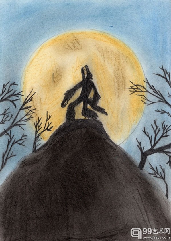 Wout Devolder, Werewolf (2008, at age 14)