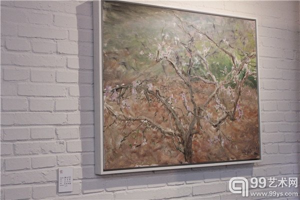 参展作品