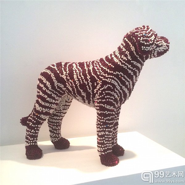DVFZebraDalmation