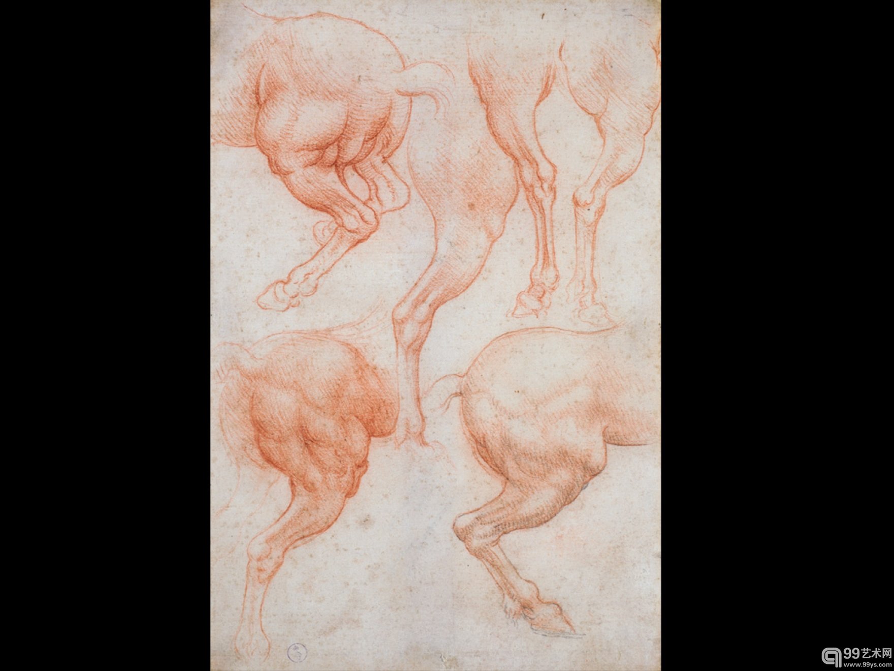 LEONARDO DA VINCI AND FRANCESCO MELZI, STUDIES OF THE HINDQUARTERS OF A HORSE, ABOUT 1508.