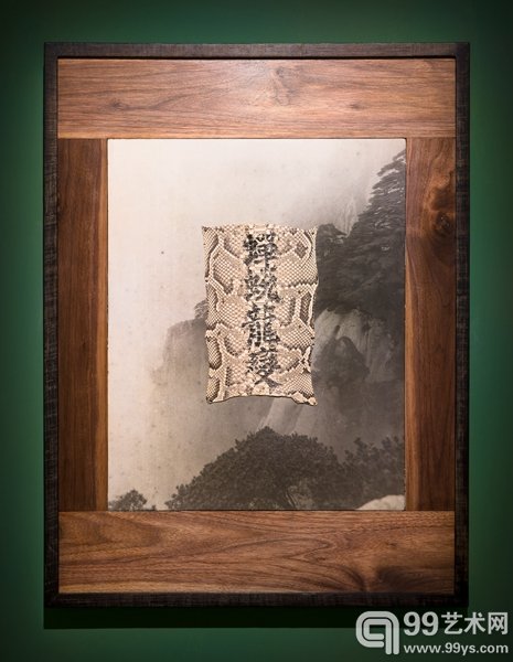 鸟头作品