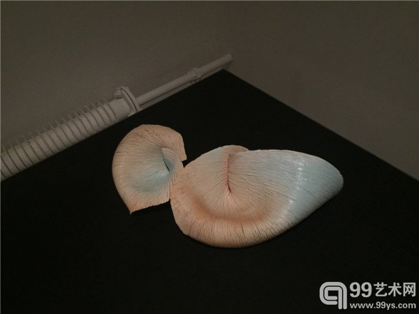 活动现场作品