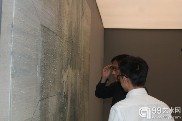 策展人汤宇陪苏新平老师观看展览