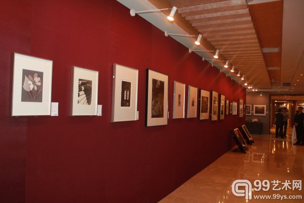 华辰2015春拍预展现场