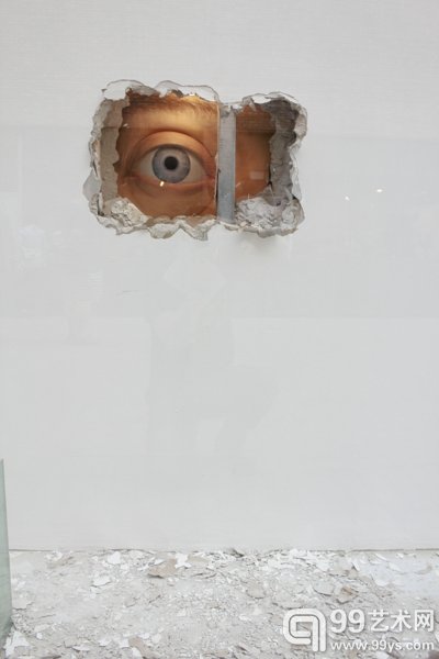 岳艳娜+张显飞作品《窥》