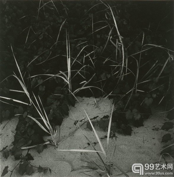 密歇根湖 