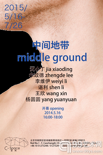 中间地带海报