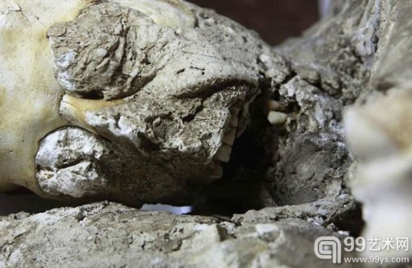 当地时间5月20日，考古学家和科学家对千年前被掩埋在火山灰下的庞贝城居民化石进行修复。
