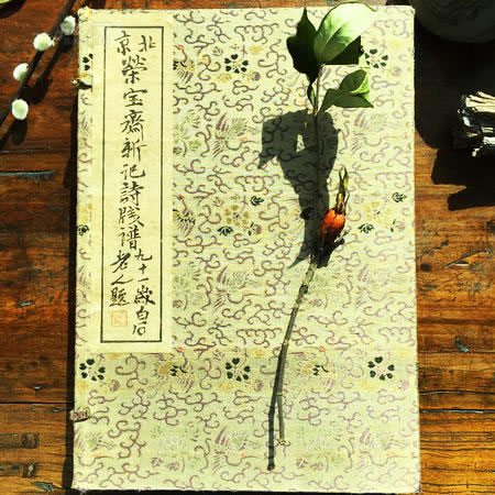 1951年《荣宝斋新记诗笺谱》木板水印一函二册