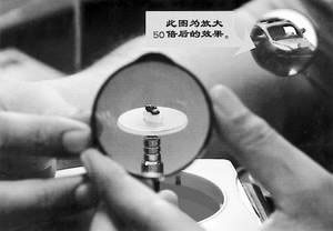 假大米？真大米？在显微镜下放大45倍看清“猫腻”