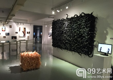 2015川美毕业展
