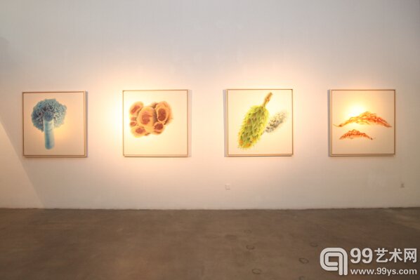 展览现场