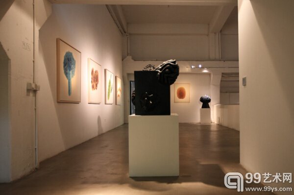 展览现场