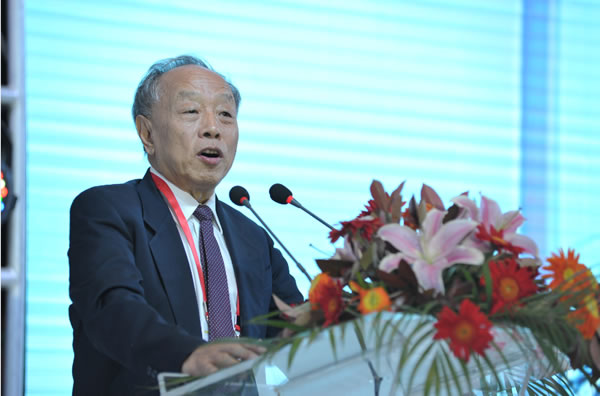 中国公共外交协会会长，原中国外交部长李肇星宣布第二届南京国际美术展方案