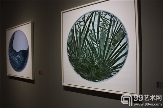 展览现场