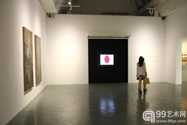 展览现场