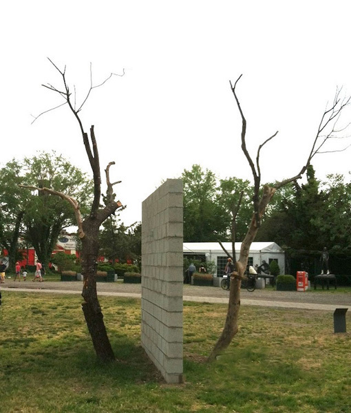 Agnes Denes 《活金字塔》（“Living Pyramid”） 2015年
