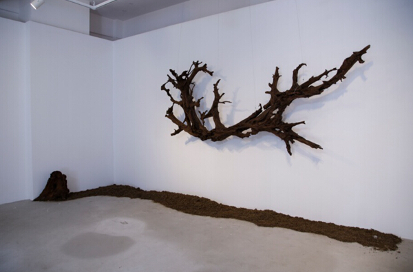 任雷展厅“楠香馆”