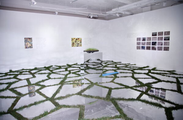 史钟颖展厅“共生”