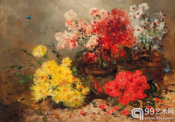 柯什瓦-雏菊、万寿菊、天竺葵和其他夏花