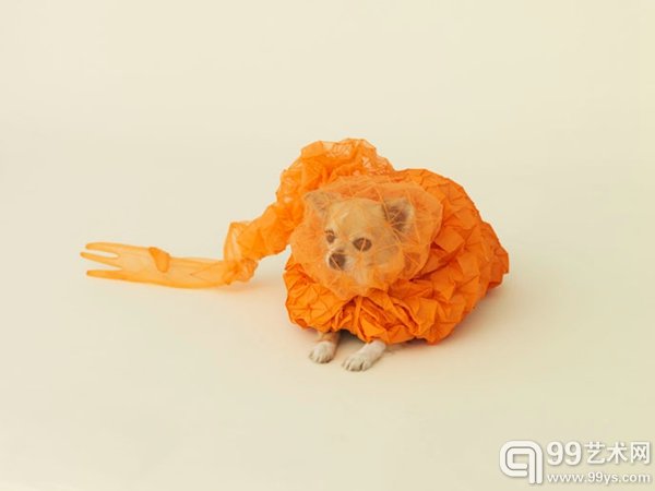 作品图片