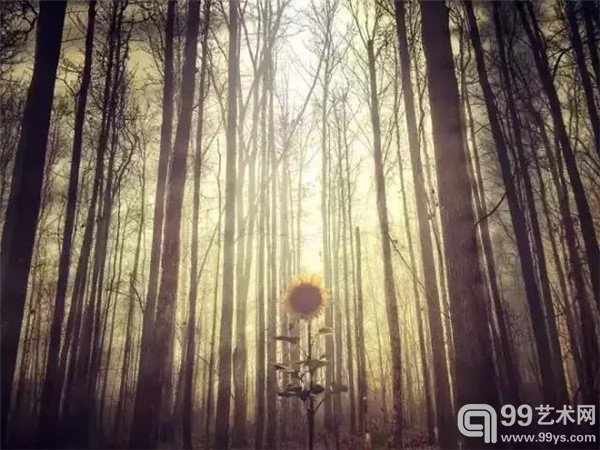 梅丽莎·文森特利用自己破了屏幕的iPhone4手机四处拍照梅丽莎·文森特利用自己破了屏幕的iPhone4手机四处拍照