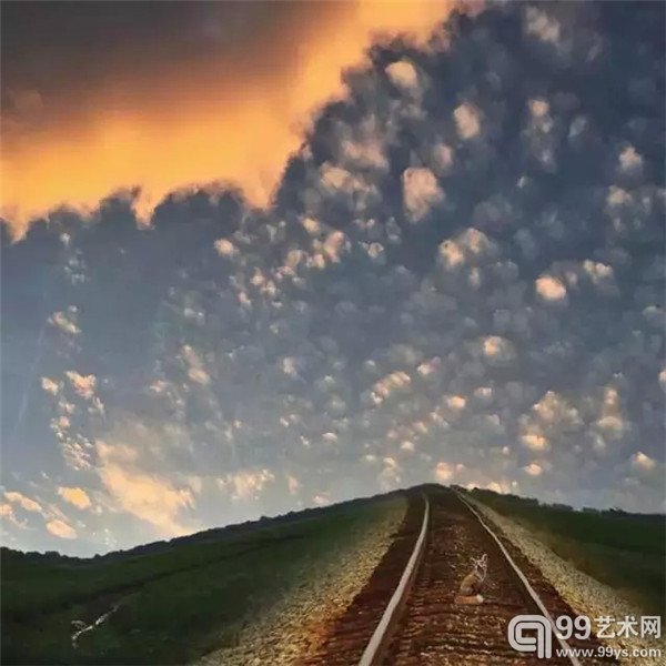 梅丽莎·文森特利用自己破了屏幕的iPhone4手机四处拍照