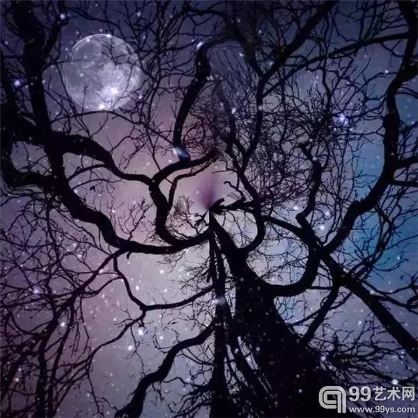 梅丽莎·文森特利用自己破了屏幕的iPhone4手机四处拍照