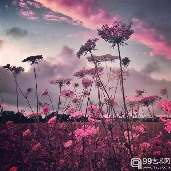 梅丽莎·文森特利用自己破了屏幕的iPhone4手机四处拍照