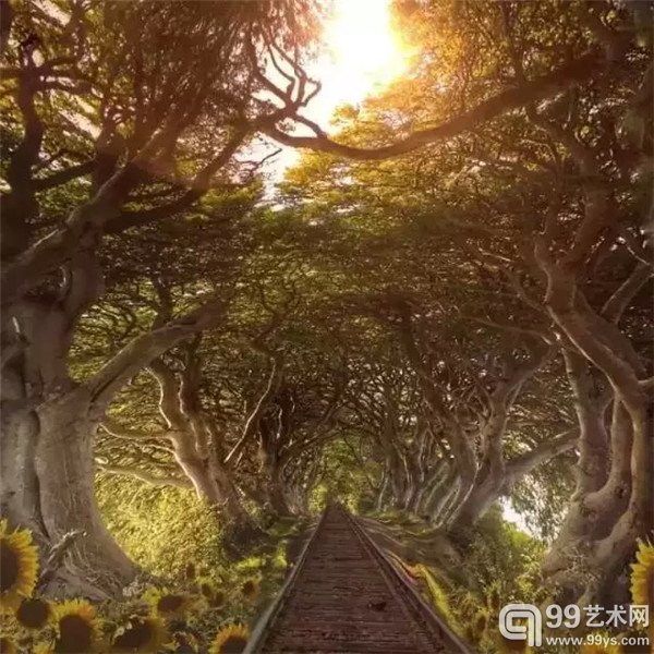 梅丽莎·文森特利用自己破了屏幕的iPhone4手机四处拍照