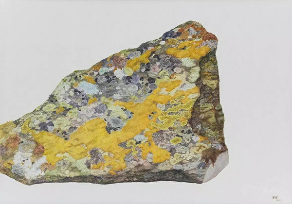 《静止的自然而然》布面油画，200 x 150cm ，2014年