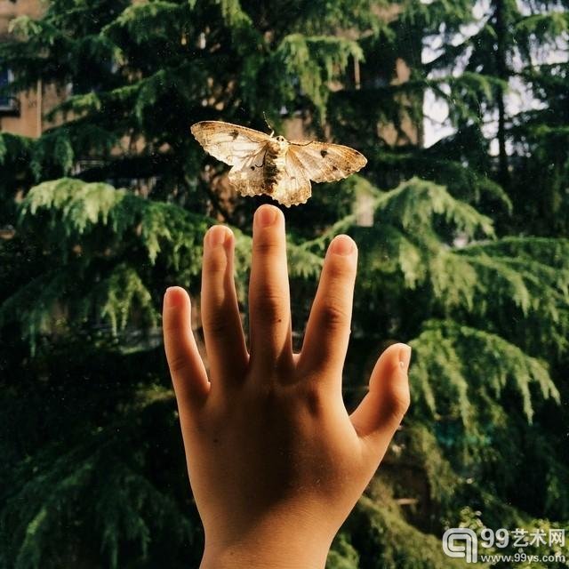 张煜的摄影作品
