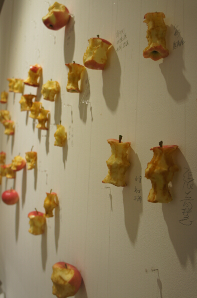 展览作品