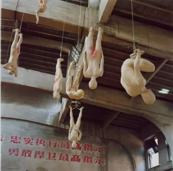 《种族》