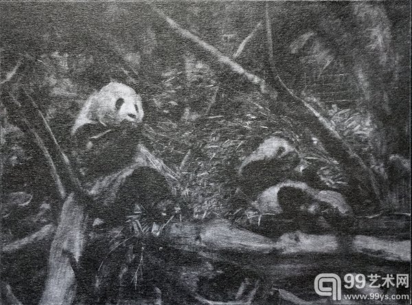 黄宇兴个展《冲积》