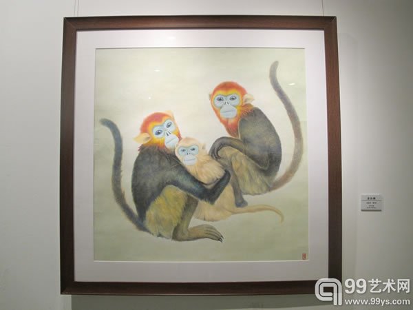 韩国作品《金丝猴》