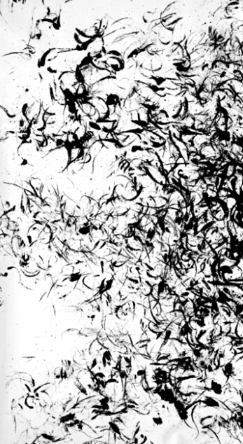 张大我［zhangdawo]生命玄线《 触感》 00101 纸本水墨Life Archeline No00101 Chinese ink on xuan paper .2010 tas 180x97cm