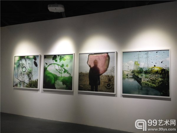 展出作品