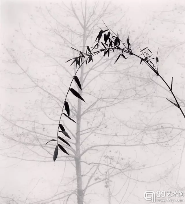 英国Michael Kenna的摄影作品英国Michael Kenna的摄影作品