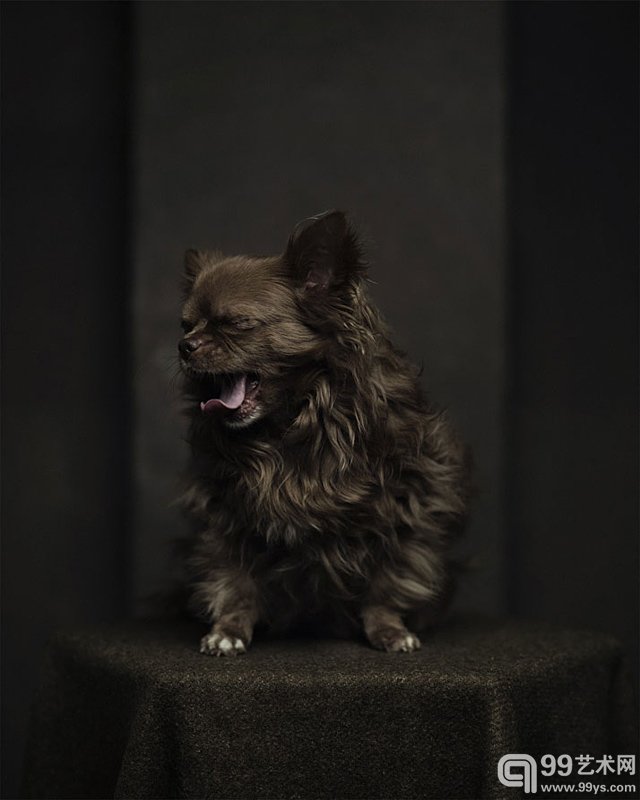 比利时摄影师 Vincent Legrange的摄影作品