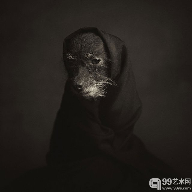 比利时摄影师 Vincent Legrange的摄影作品