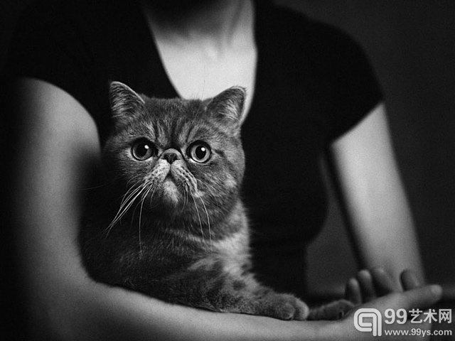 比利时摄影师 Vincent Legrange的摄影作品