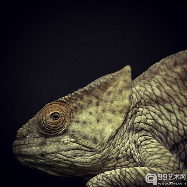比利时摄影师 Vincent Legrange的摄影作品