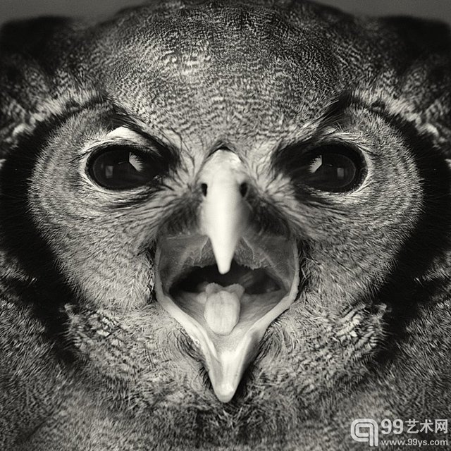 比利时摄影师 Vincent Legrange的摄影作品